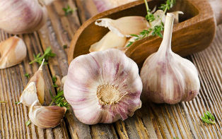 what is the benefit of garlic